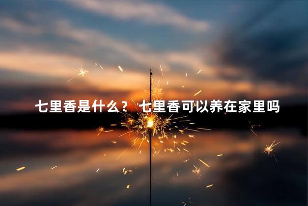 七里香是什么？ 七里香可以养在家里吗